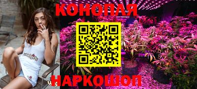 прущие грибы Волгодонск