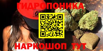 прущие грибы Волгодонск