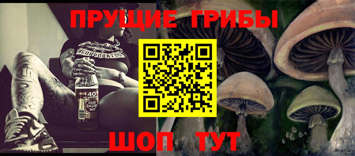 Кострома  Псилоцибиновые грибы Magic Shrooms  Вход с VPN 